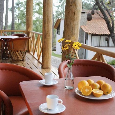 Hôtel Cabanas La Vid Del Bosque à Tapalpa Extérieur photo