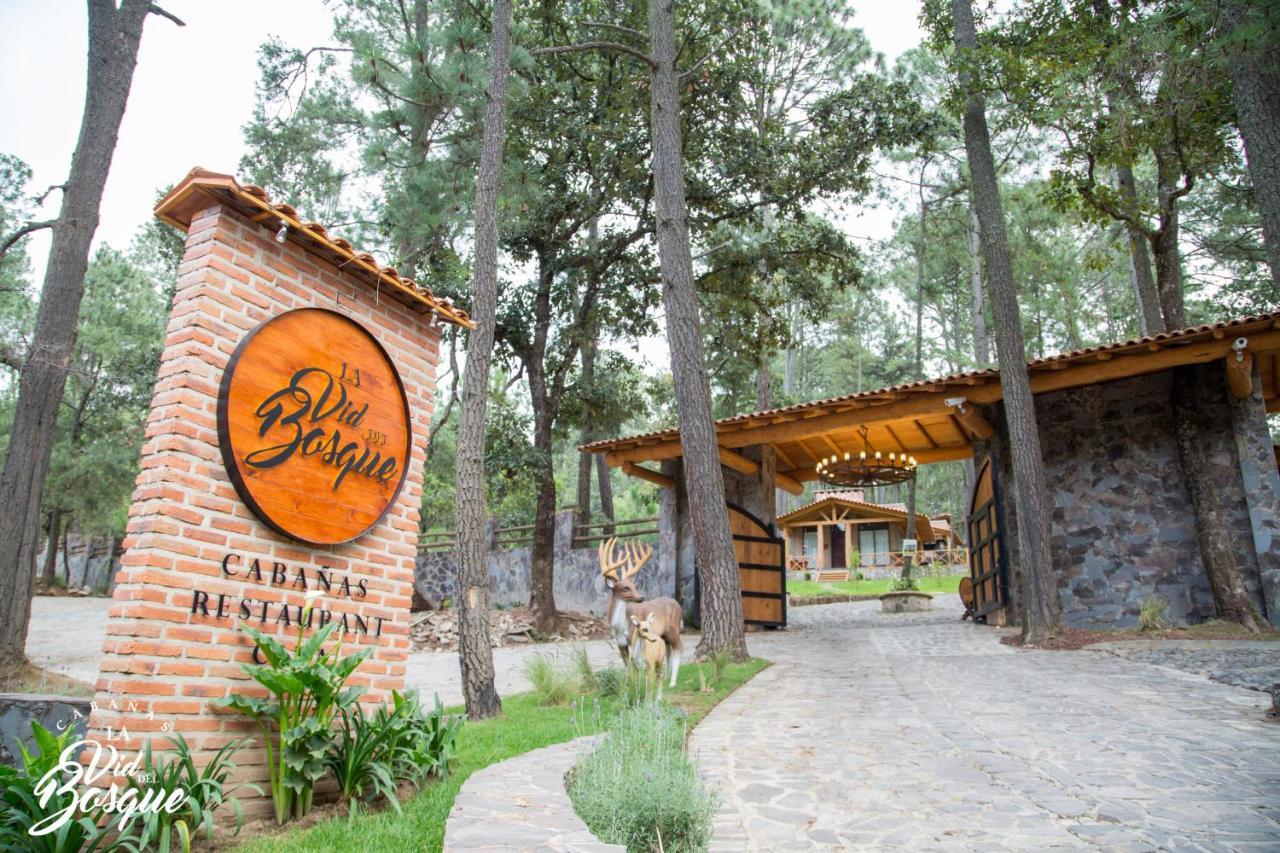 Hôtel Cabanas La Vid Del Bosque à Tapalpa Extérieur photo