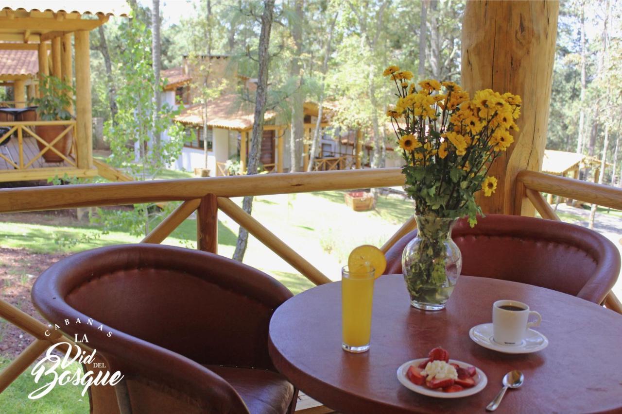 Hôtel Cabanas La Vid Del Bosque à Tapalpa Extérieur photo