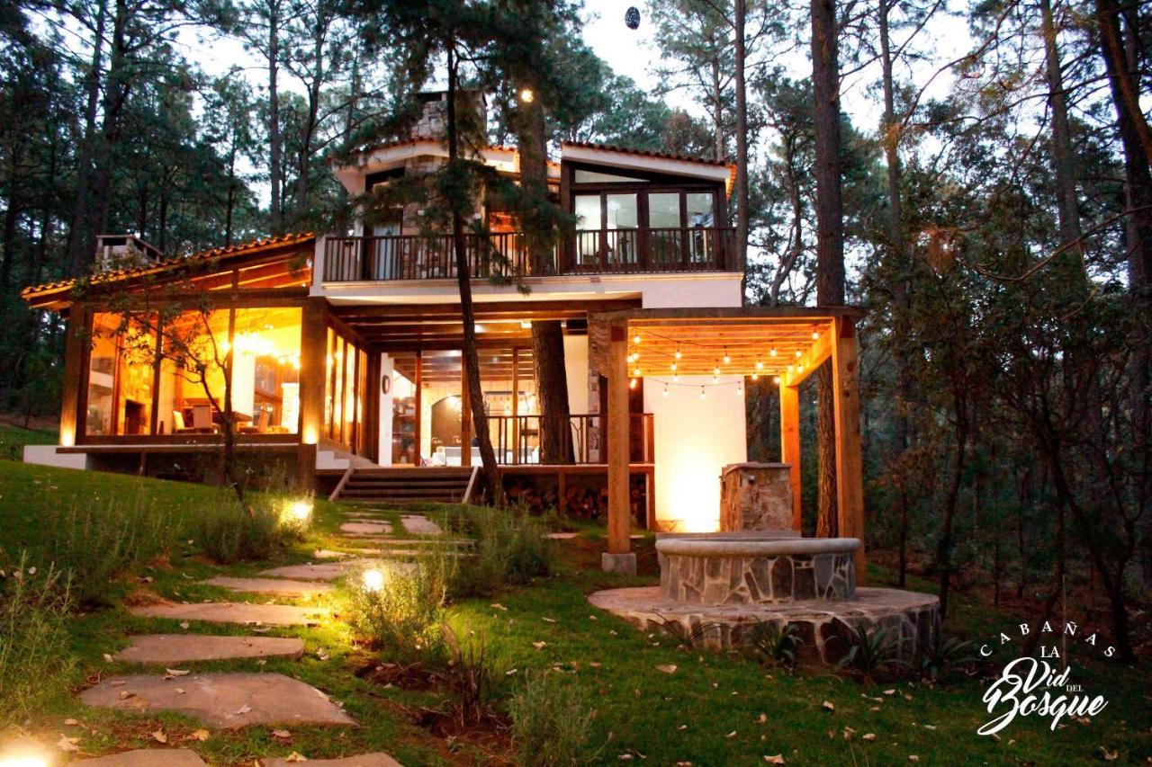 Hôtel Cabanas La Vid Del Bosque à Tapalpa Extérieur photo