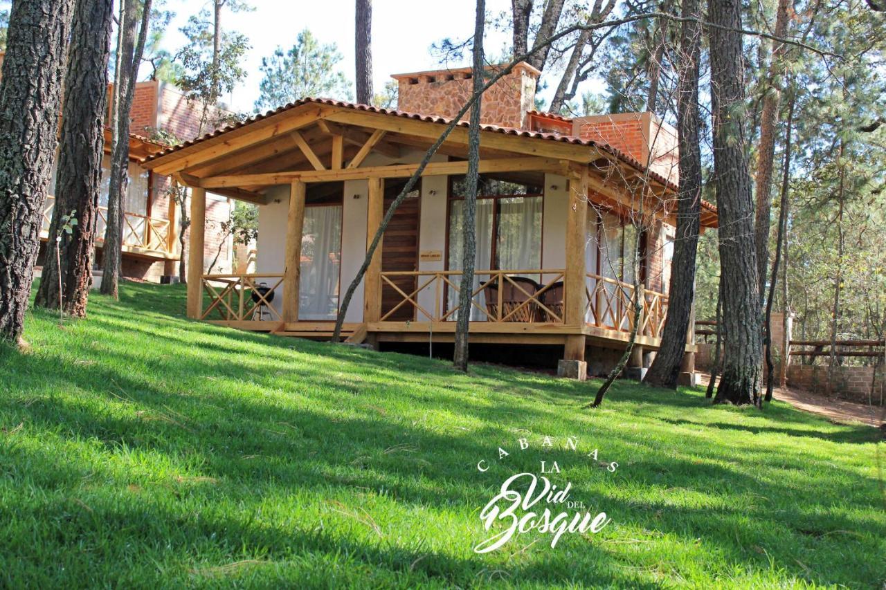 Hôtel Cabanas La Vid Del Bosque à Tapalpa Extérieur photo